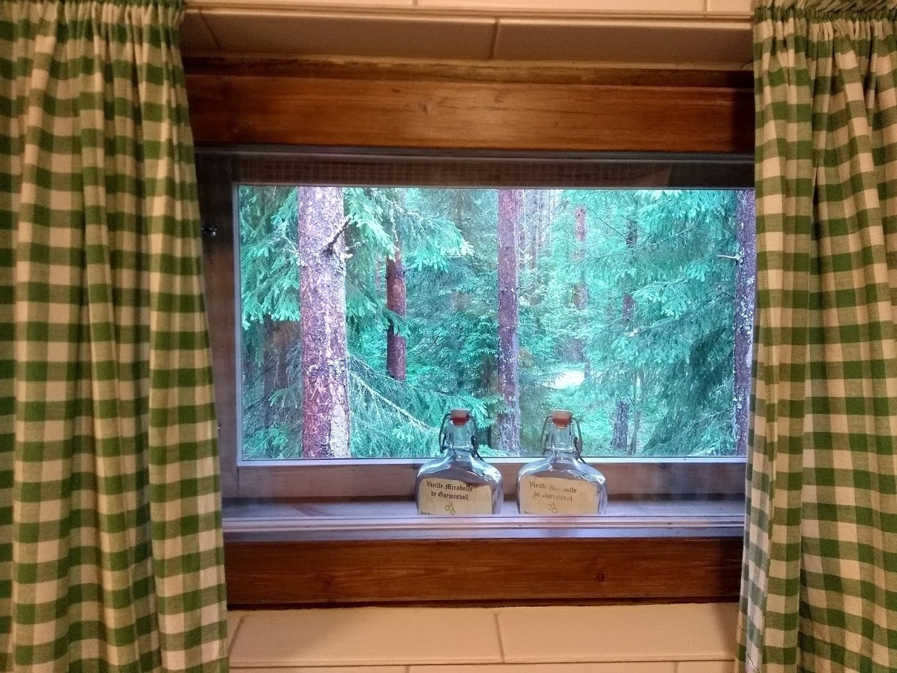 Fenster zum Wald