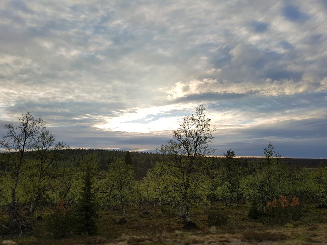 Landschaft in Finnisch-Lappland