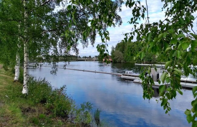 Der Pielisjoki bei Joensuu