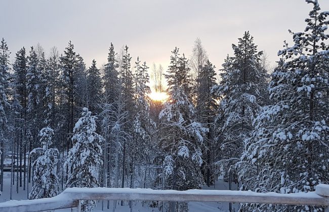 Im Winter nach Finnland und etwas Besonderes erleben