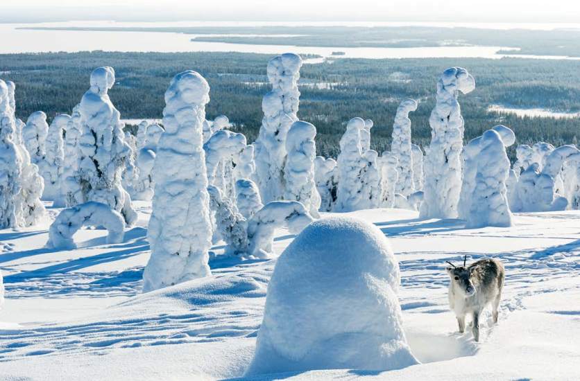 Verschneite Landschaft in Lappland