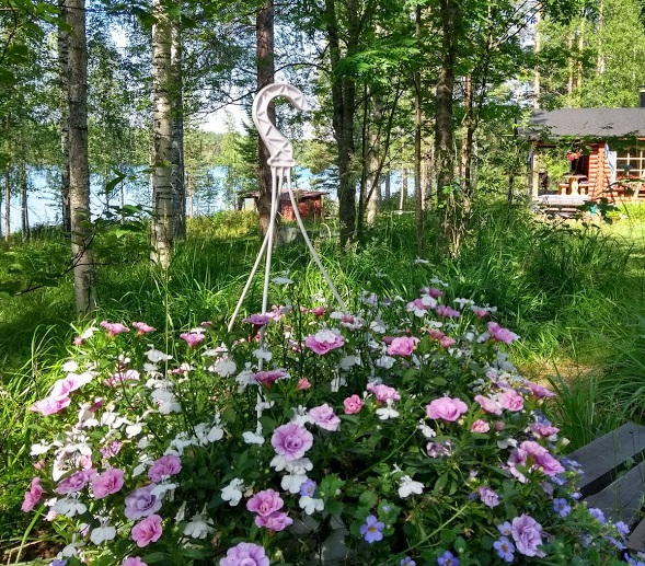 Blumen am finnischen Mökki