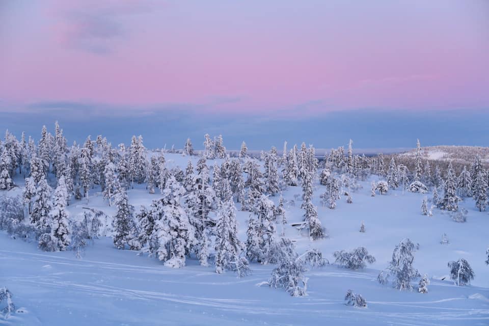 Pyhätunturi in Finnisch-Lappland