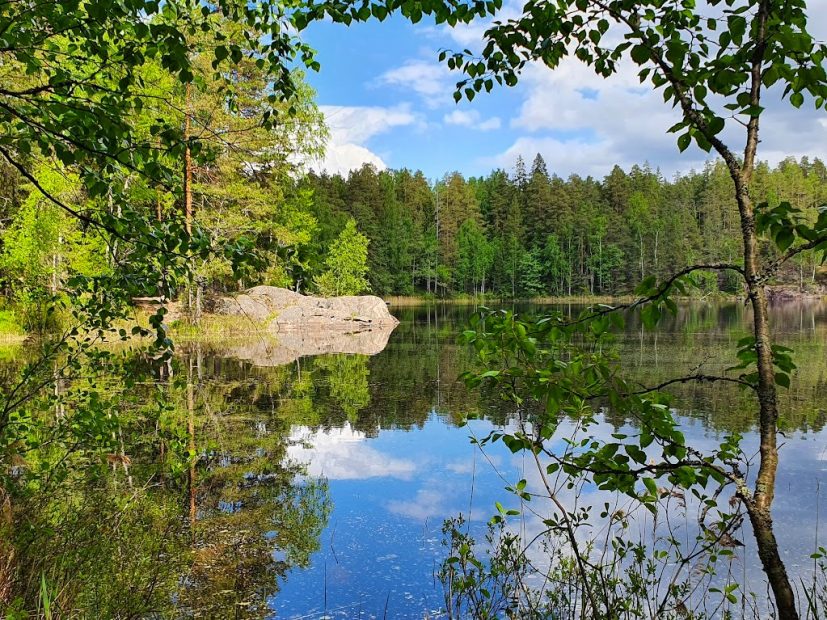 See im Repovesi-Nationalpark in Südost-Finnland