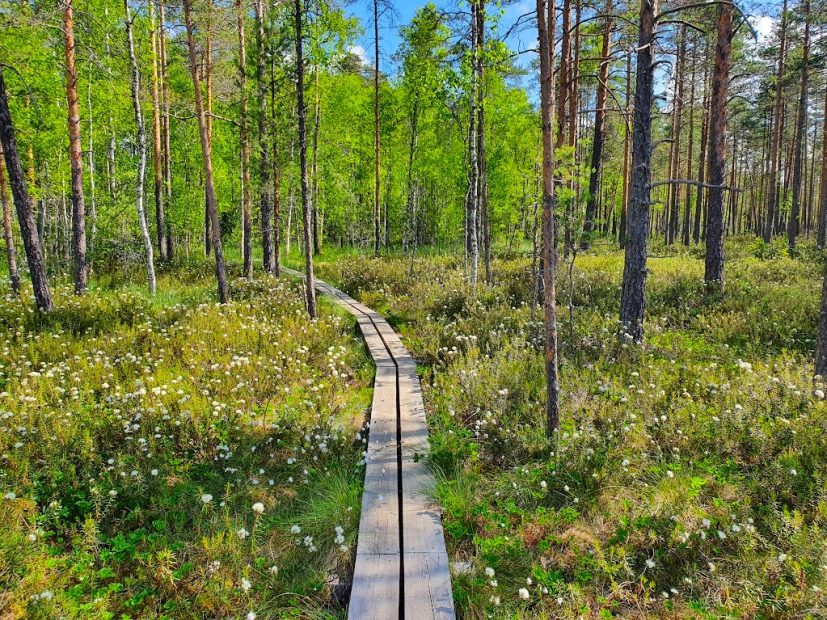 Nationalpark Valkmusa in Südost-Finnland